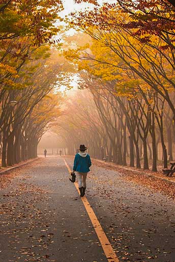 A woman walks along the center of a tree-lined road