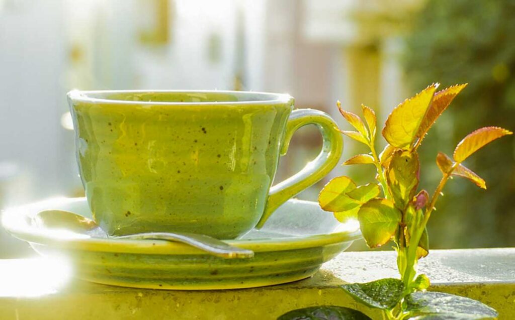 cup of tea with greens in the background